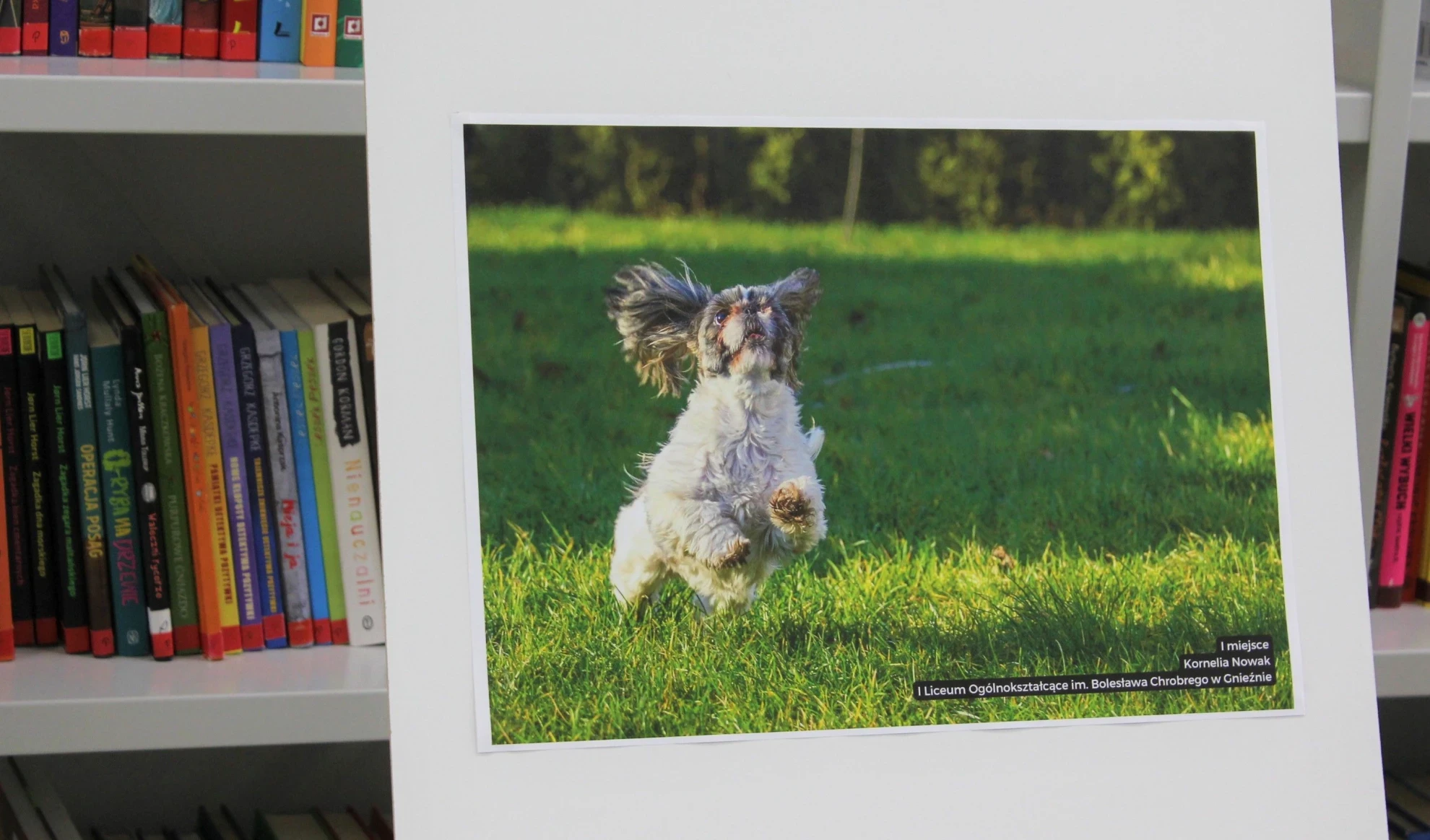Rozdanie nagród w konkursie fotograficznym "Szczęście w obiektywie"